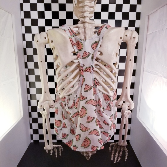 Watermelon Tank - Picture 2 of 3